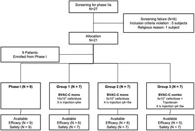 Efficacy and safety of BVAC-C in HPV type 16- or 18–positive cervical carcinoma who failed 1st platinum-based chemotherapy: a phase I/IIa study